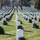 Wreaths Across America at Arlington National Cemetery 2017