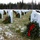 Wreaths Across America Alaska 5