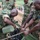 SPMAGTF-CR-AF Marines train UPDF soldiers on water purification SPMAGTF-CR-AF Marines train UPDF soldiers on water purification