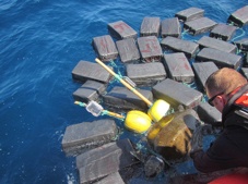 U.S. Coast Guard Cutter Seizes Nearly 7 Tons of Cocaine and Rescues Ocean Wildlife