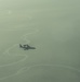 AWACS Patrols the Skies