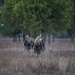 Marines maintain land navigation skills