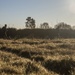 Marines participate in a fire-team competition