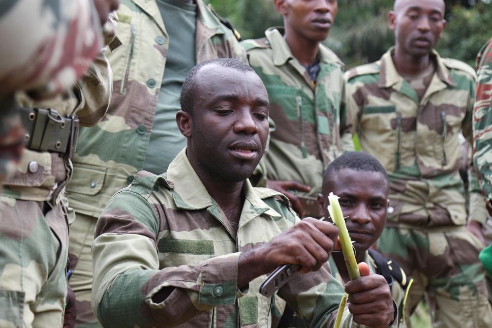 101 Division (Air Assault) Soldiers train alongside Gabonese counterparts during Judicious Activation ’17-2