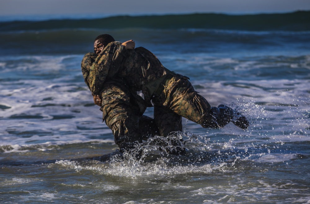 Warriors of the Sea