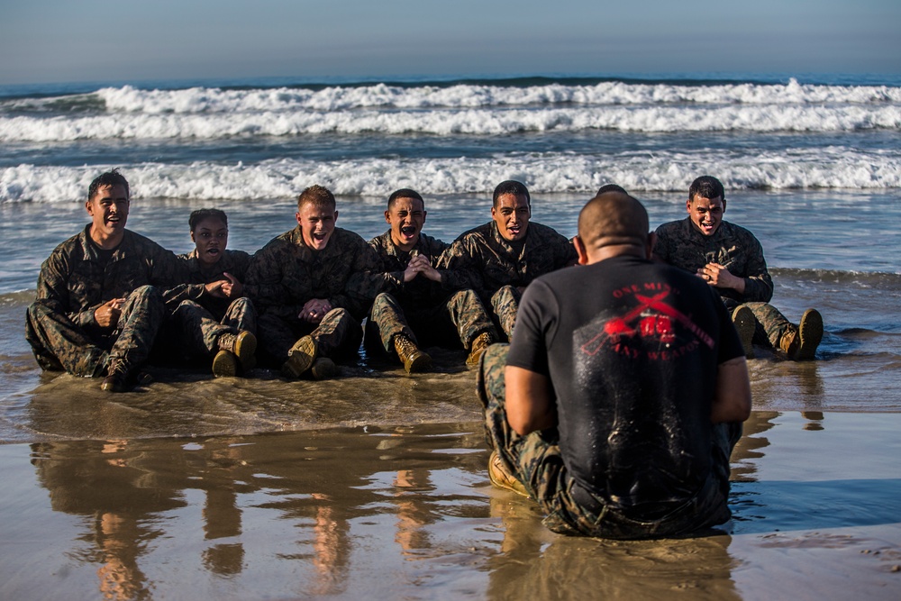 Warriors of the Sea