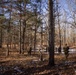 U.S. Marines in AP Hill conduct a company attack range