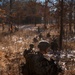 U.S. Marines in AP Hill conduct a company attack range