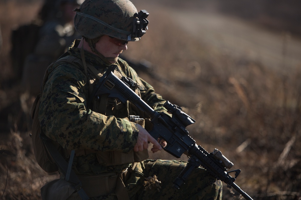 U.S. Marines in AP Hill conduct a company attack range