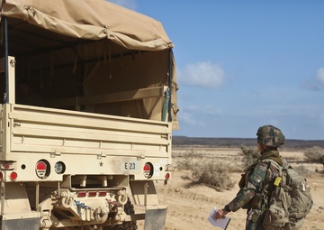 French and U.S. forces conduct TRAP Mission during Alligator Dagger 2017