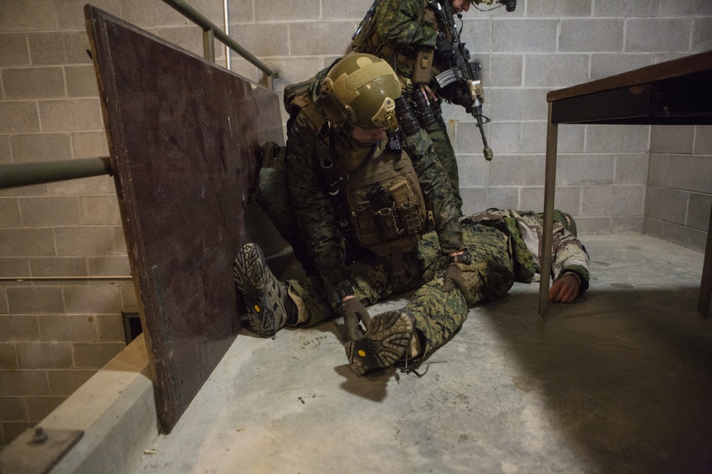 2nd Recon Night Raid