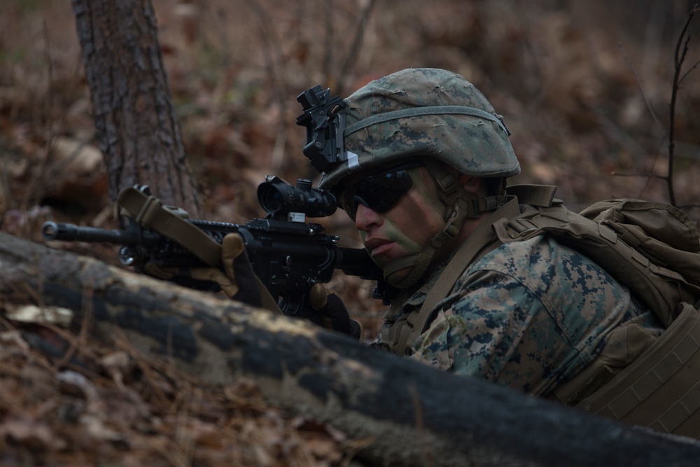 2nd Battalion, 8th Marines take the objective on the platoon level