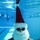 Santa Splash