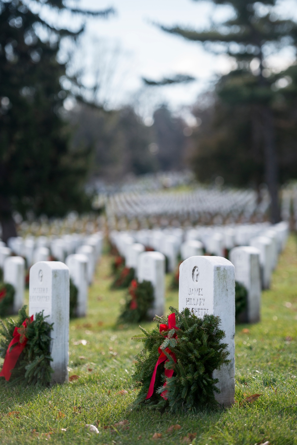 Wreaths at Arlington National Cemetery