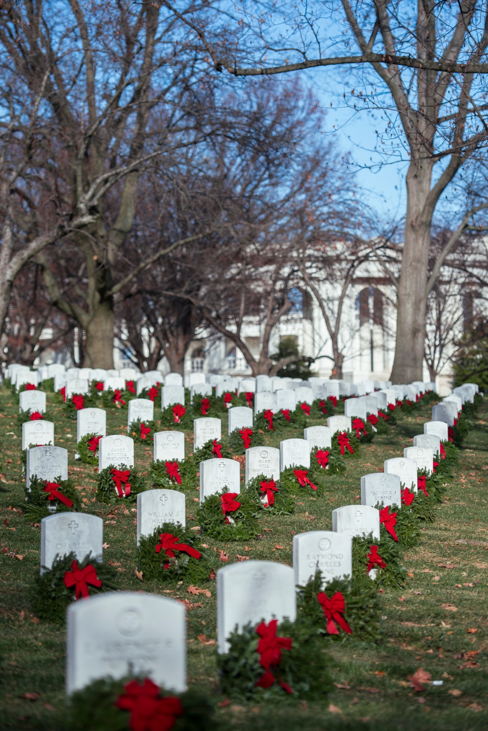 Wreaths at Arlington National Cemetery