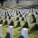 Wreaths at Arlington National Cemetery