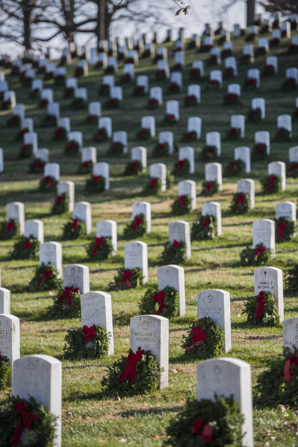 Wreaths at Arlington National Cemetery