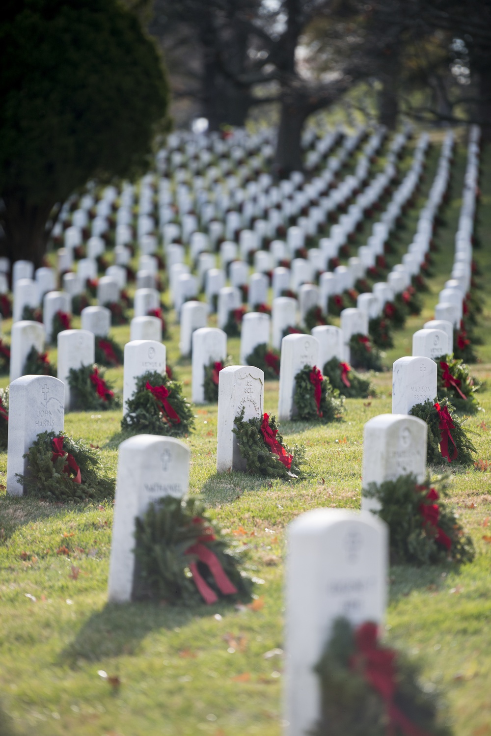 Wreaths at Arlington National Cemetery