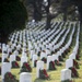 Wreaths at Arlington National Cemetery