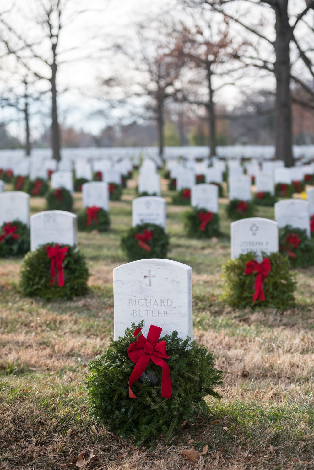 Wreaths at Arlington National Cemetery