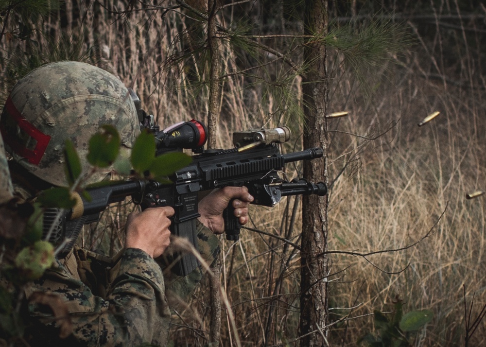 Delta Company Combined Arms Exercise