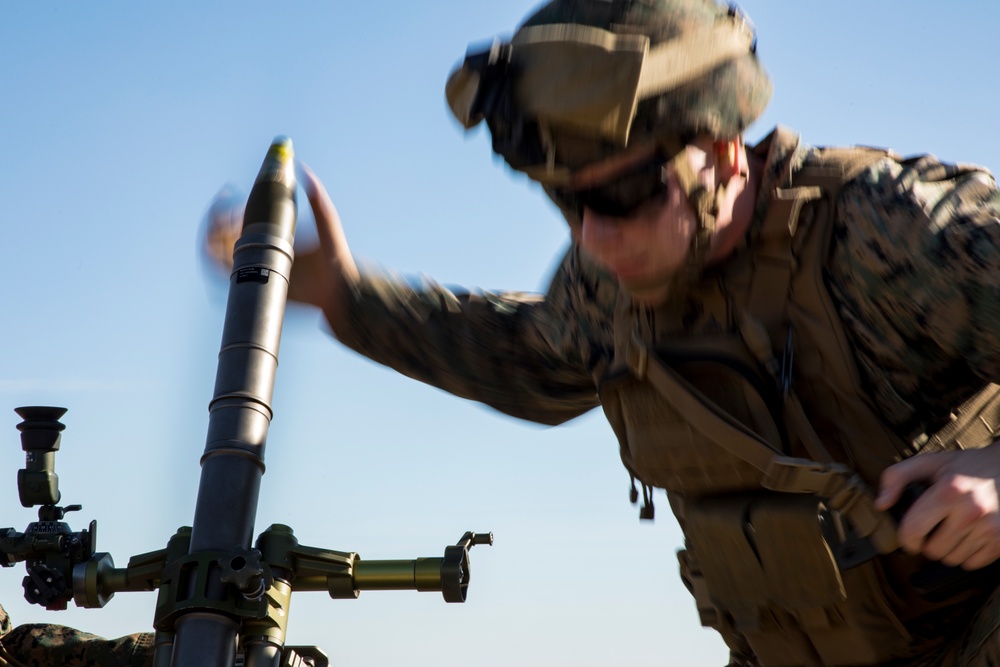 Fire for effect: Teufelhunden conducts live-fire mortar range