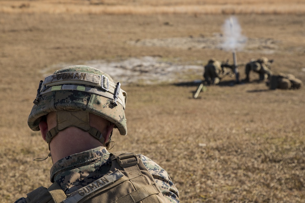 Fire for effect: Teufel hunden conducts live-fire mortar range