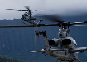 Double down: Vipers pack 2X the ordnance