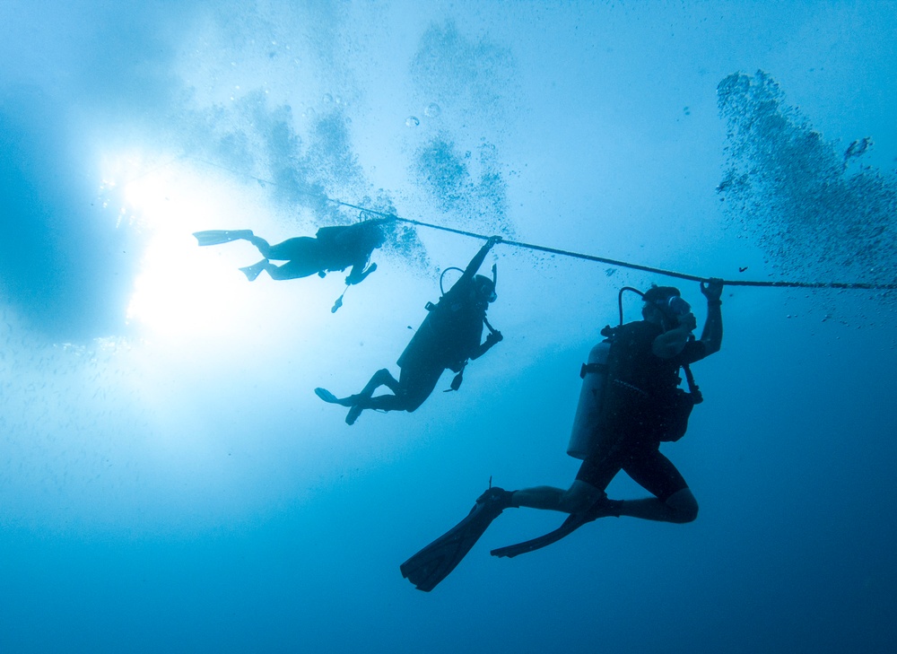Dive Training