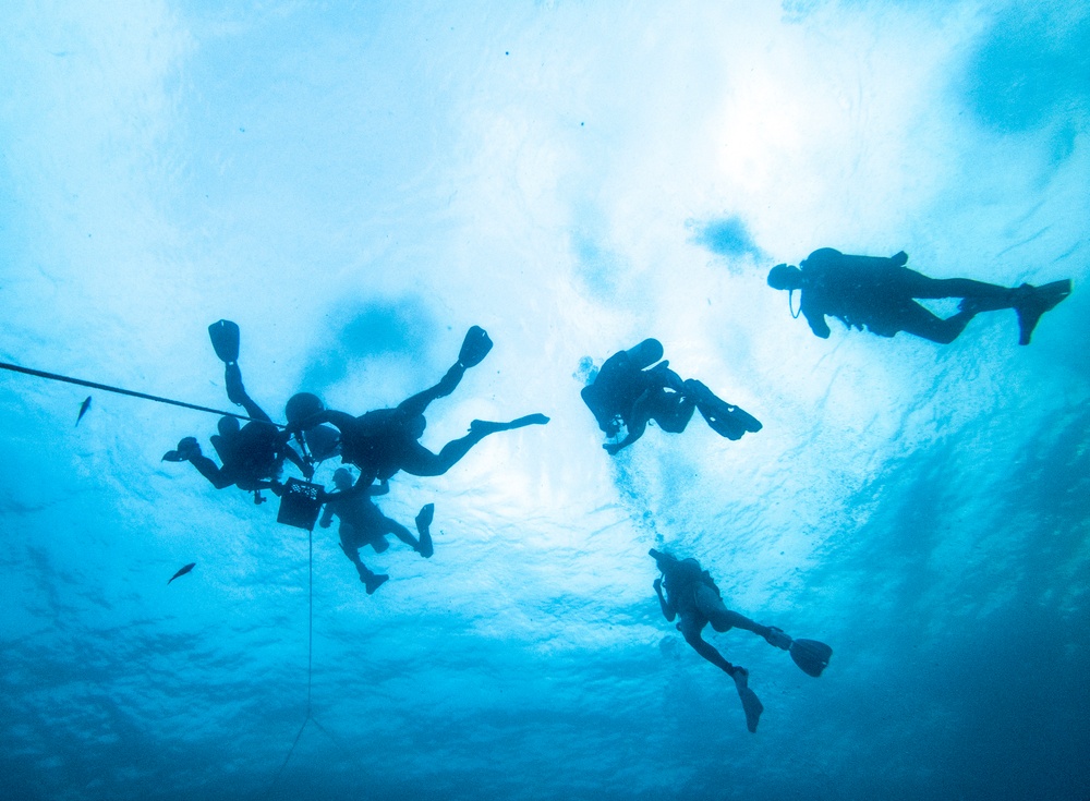 Dive Training