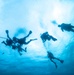 Dive Training