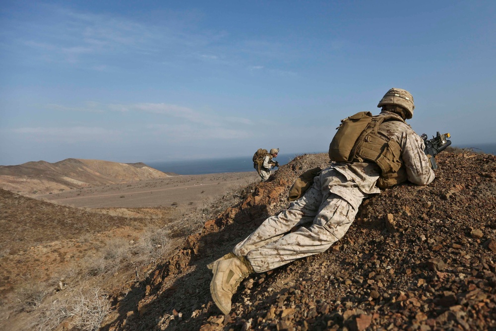 U.S. and French forces conduct a simulated amphibious raid during Alligator Dagger