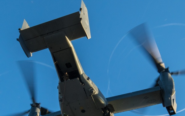 U.S., Estonian Special Operation Forces conduct fast rope training