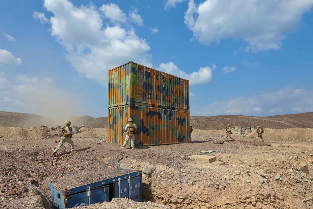 U.S. Marines conduct simulated NEO during Alligator Dagger