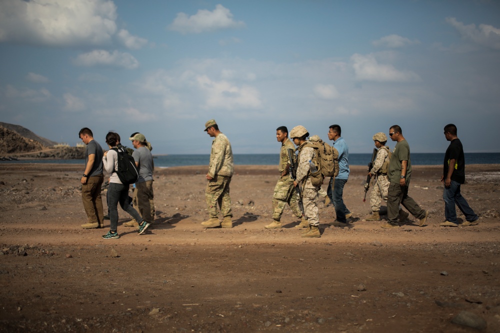 U.S., France conduct simulated NEO during Alligator Dagger