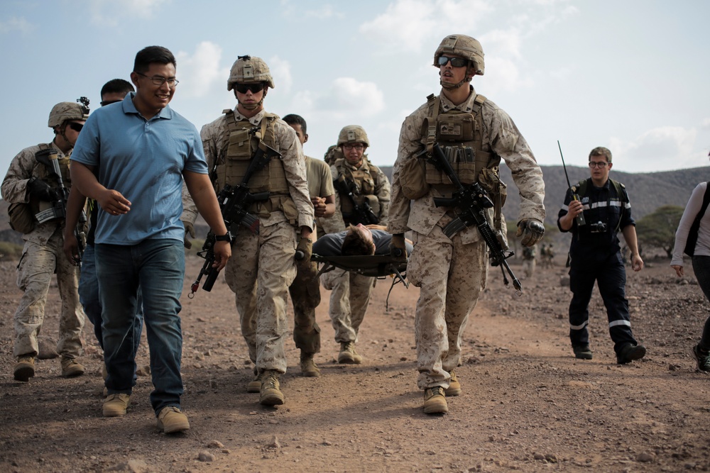 U.S., France conduct simulated NEO during Alligator Dagger