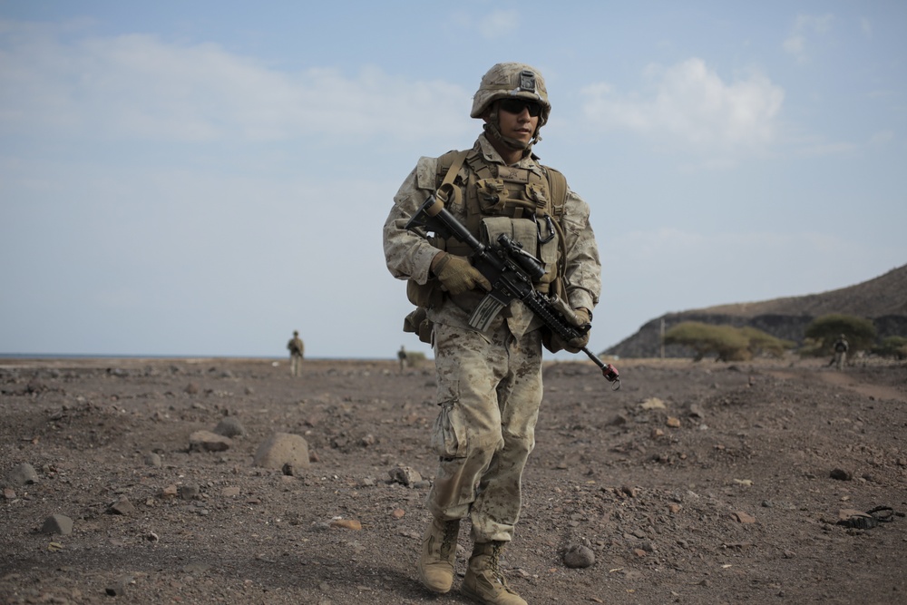 U.S., France conduct simulated NEO during Alligator Dagger