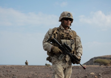 U.S., France conduct simulated NEO during Alligator Dagger