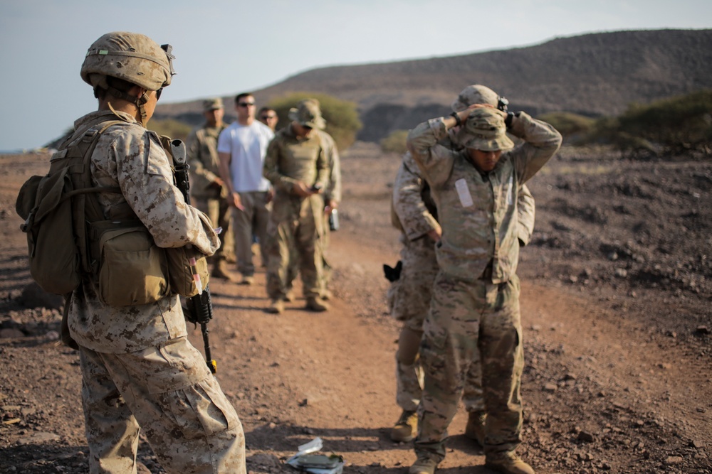 U.S., France conduct simulated NEO during Alligator Dagger