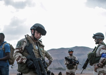 U.S., France conduct simulated NEO during Alligator Dagger