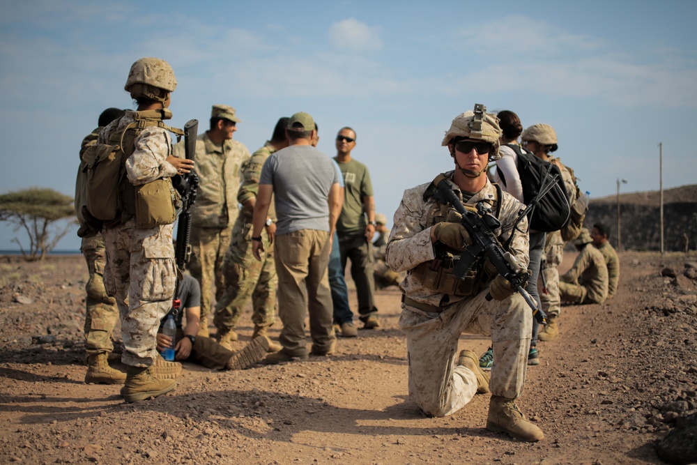 U.S., France conduct simulated NEO during Alligator Dagger