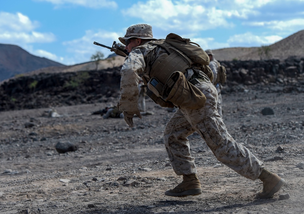 CJTF-HOA works with Marines, French in Alligator Dagger