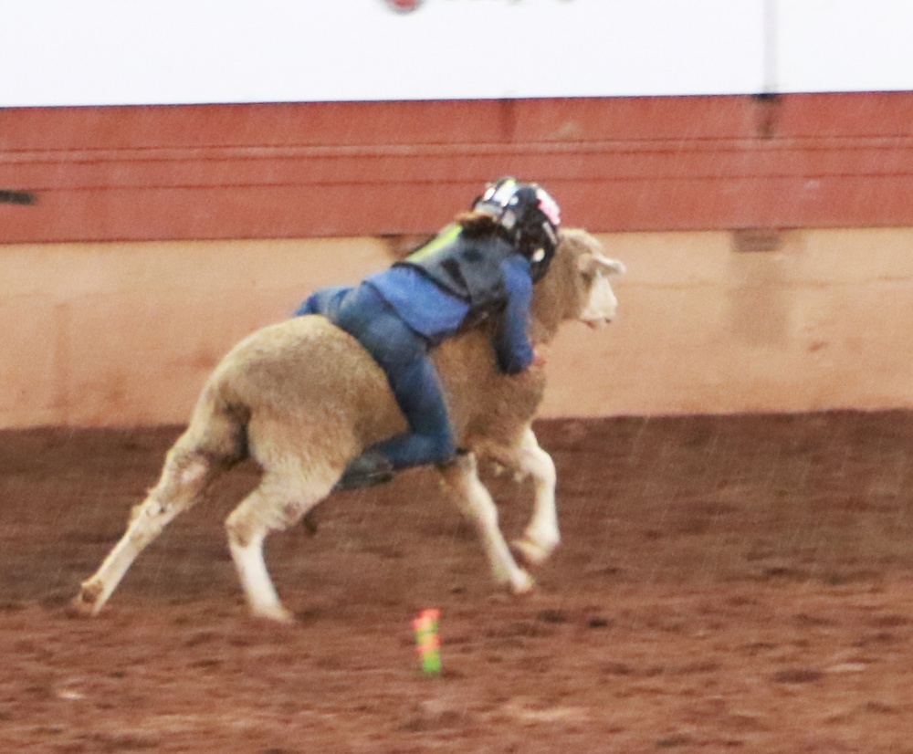 Rodeo honors Soldiers, recruits