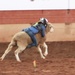 Rodeo honors Soldiers, recruits