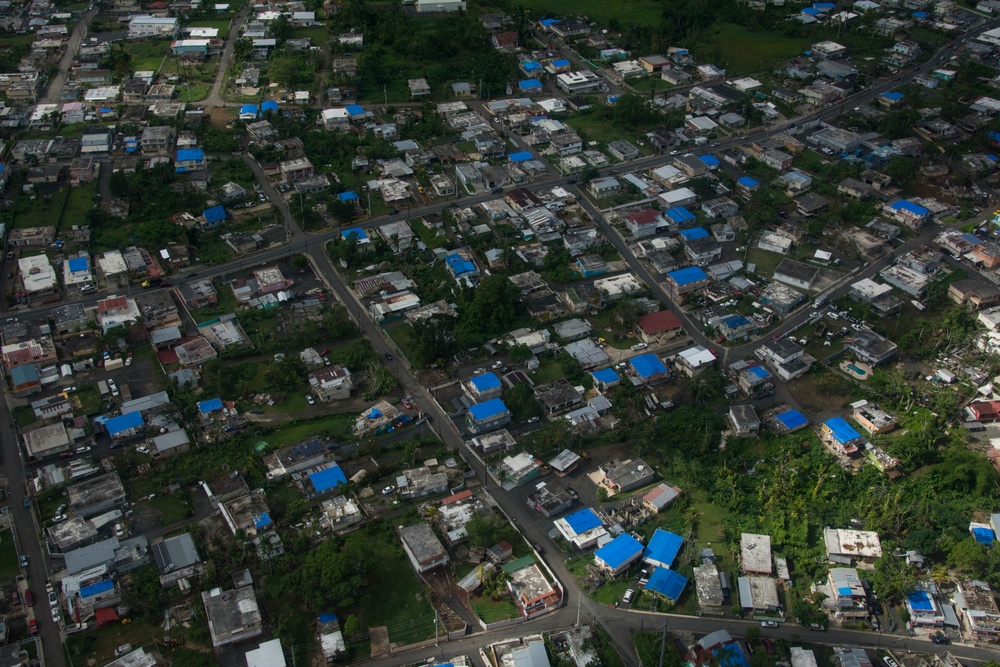 Operation Blue Roof