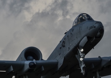 Anytime, Anywhere: Special Tactics enables global access in Estonia
