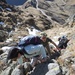NSF Deveselu and AAMDS Romania Sailors Hike Romanian Mountains