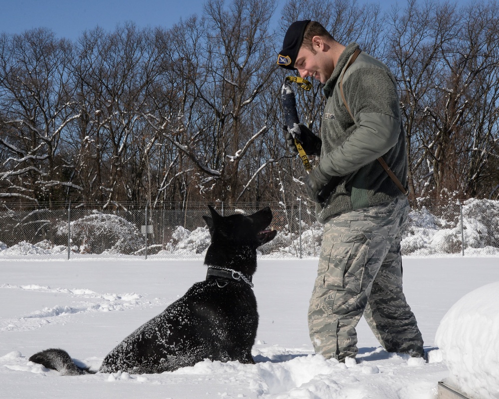 Working in the snow