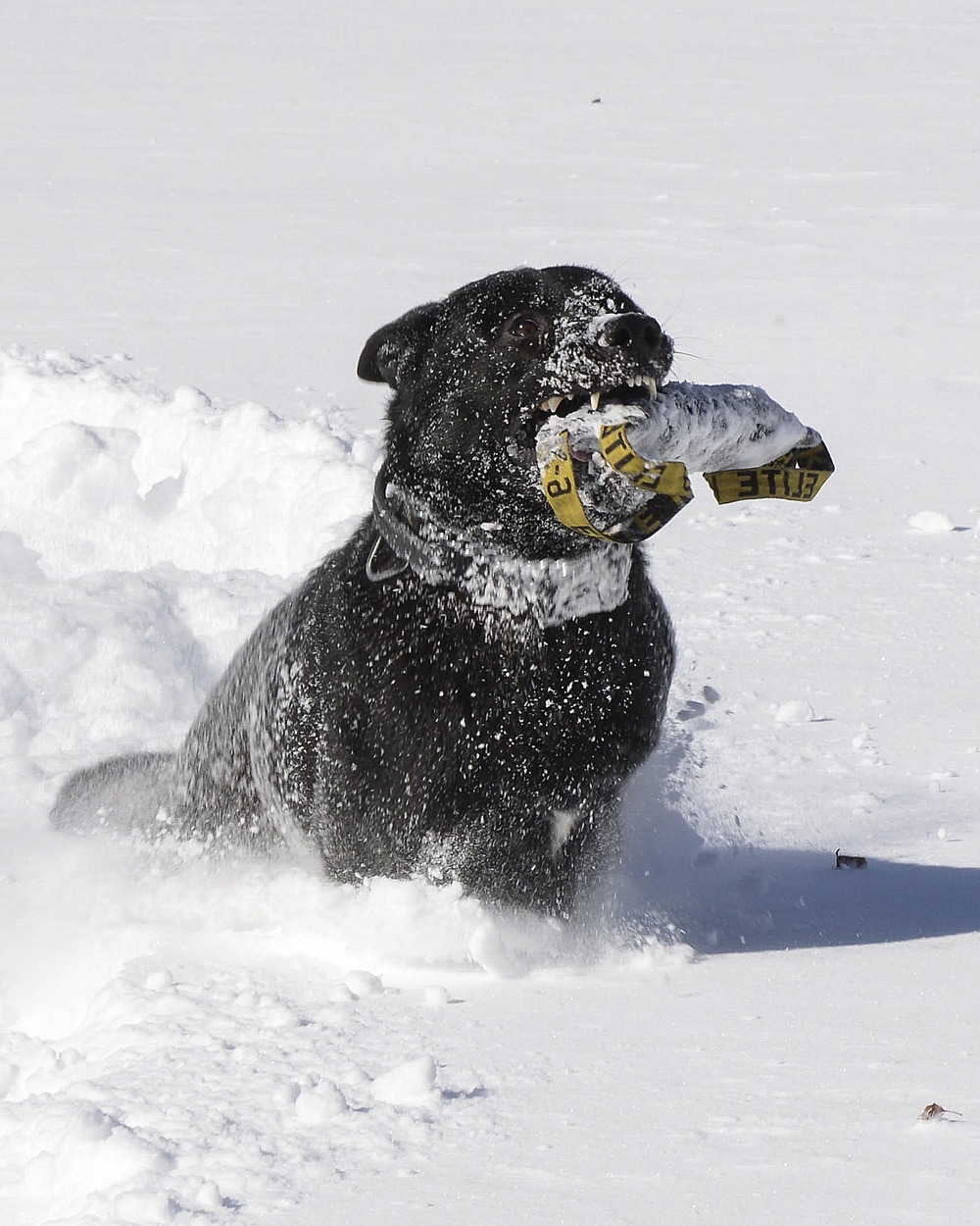 Working in the snow