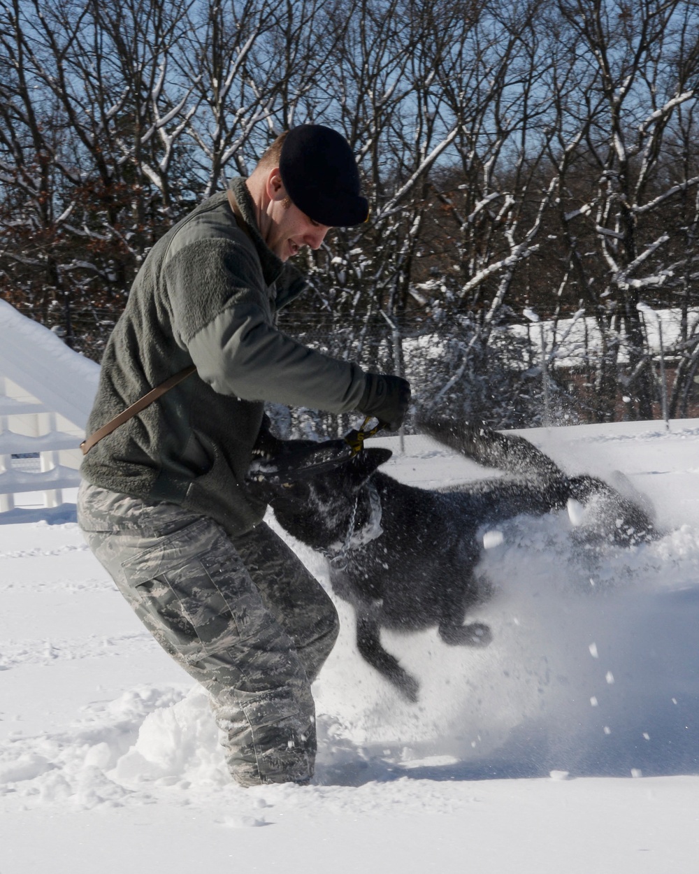 do dogs acclimate to weather